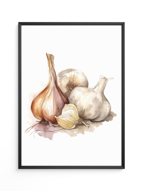Zwiebeln und Knoblauch Aquarell