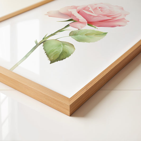 Rosenblüte Pastell Aquarell