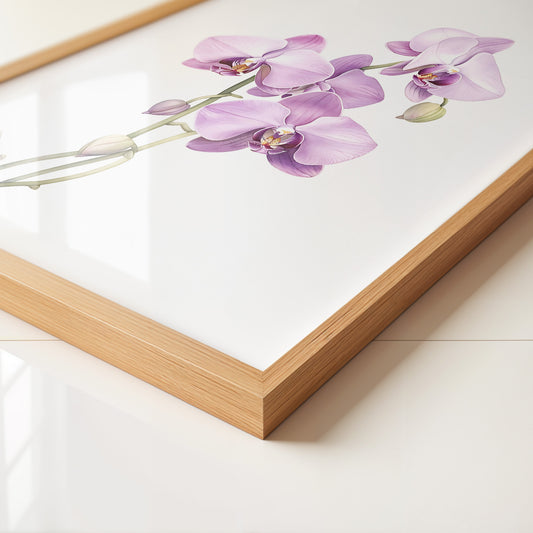 Orchideen Pastell Eleganz