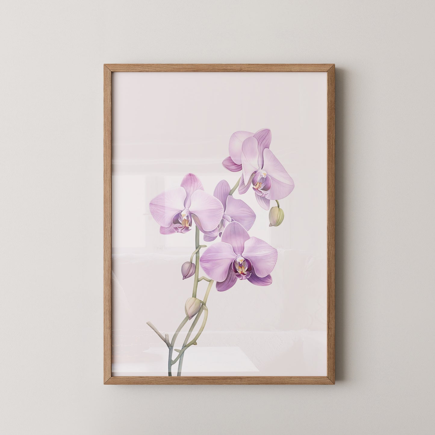 Orchideen Pastell Eleganz