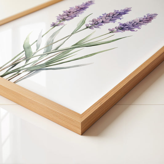 Lavendel Aquarell lila