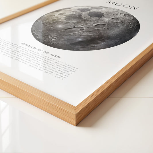 Mond grau Textur Detail