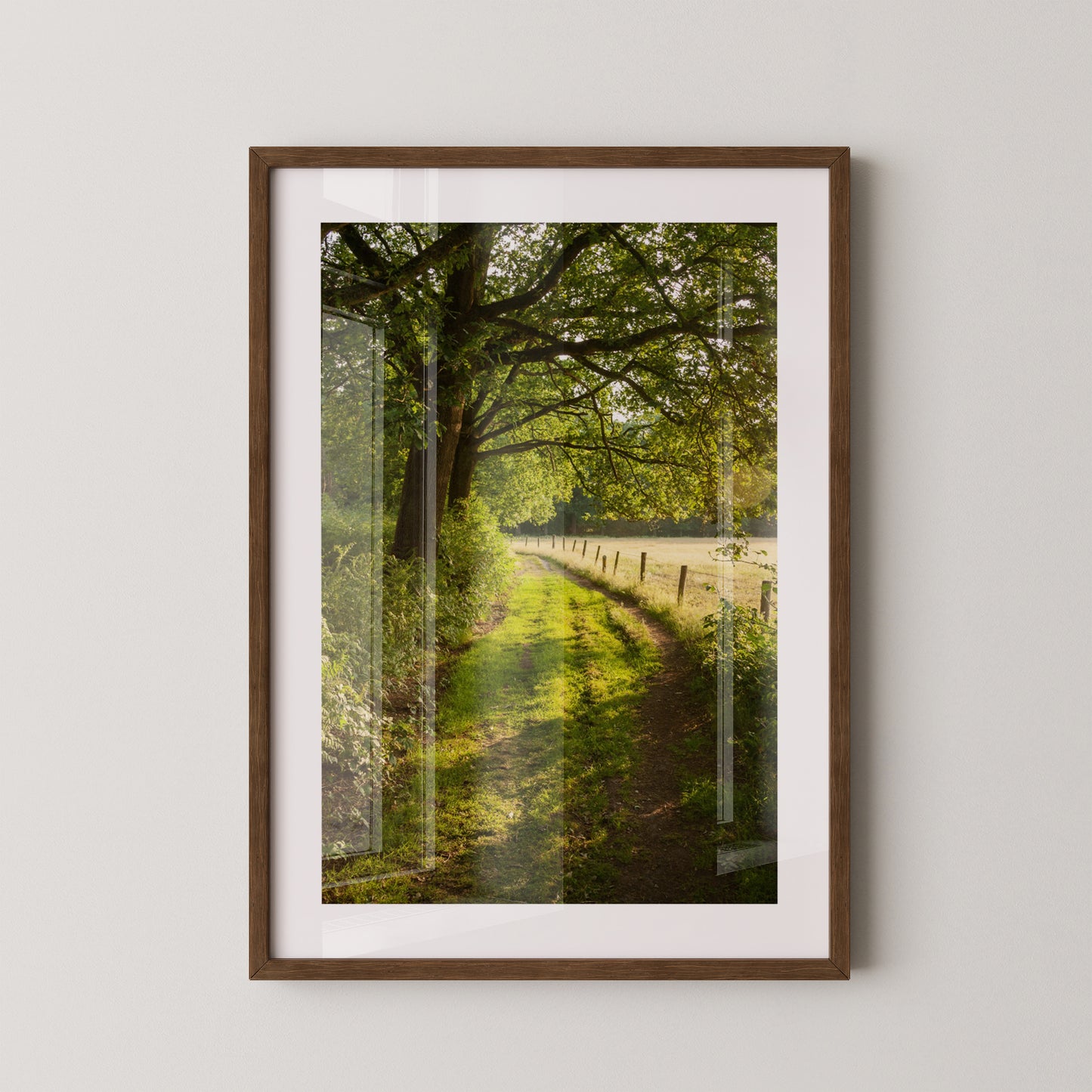 Waldweg im Sonnenlicht