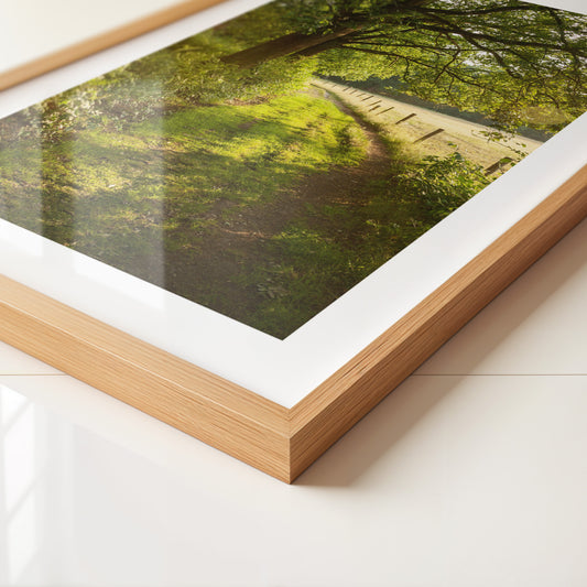 Waldweg im Sonnenlicht