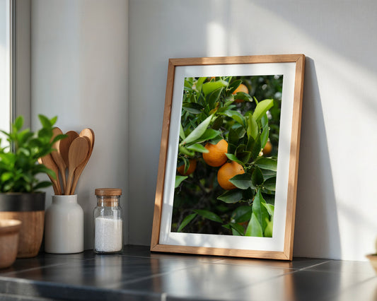 Orangenbaum Grünes Laub