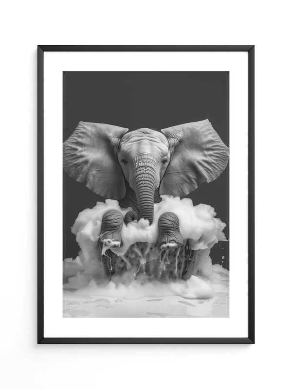 Elefant Schaum schwarzweiß