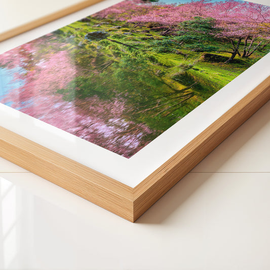 Blüten Spiegelung Frühling