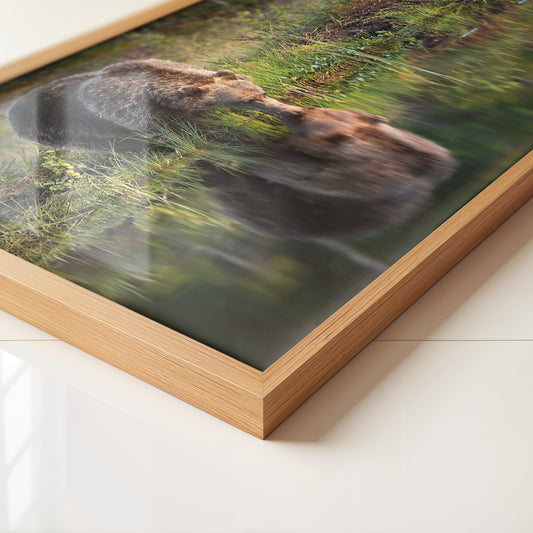 Bären Spiegelung Naturkunst