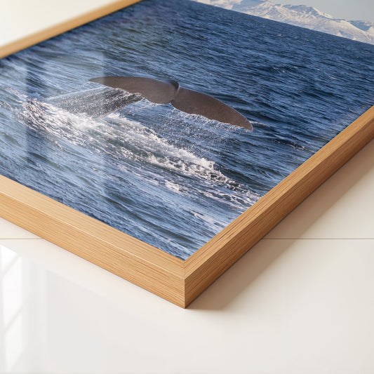 Walflosse Ozean Berge