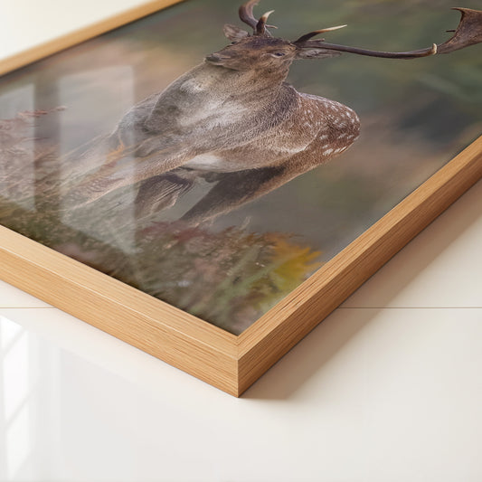 Hirsch im Nebel Waldstimmung