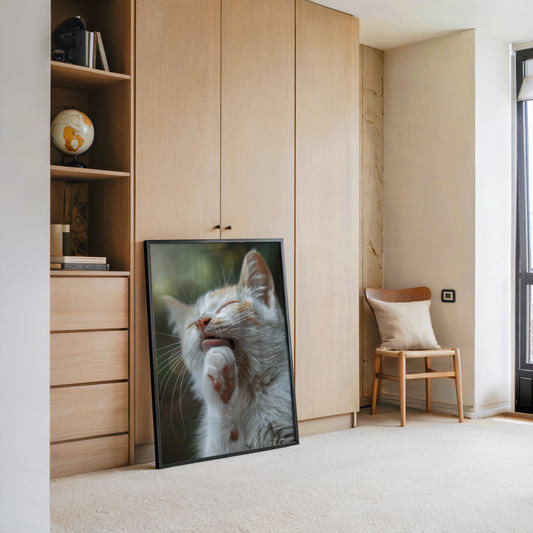 Katze Nahaufnahme Reinigung