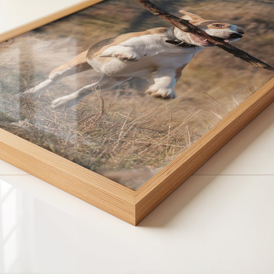 Hund mit Stock lebendig