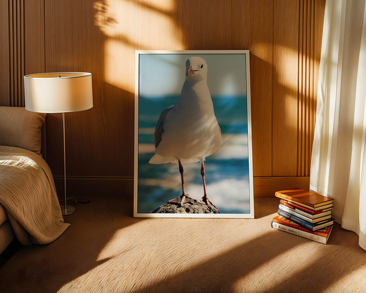 Möwe Küste Nahaufnahme