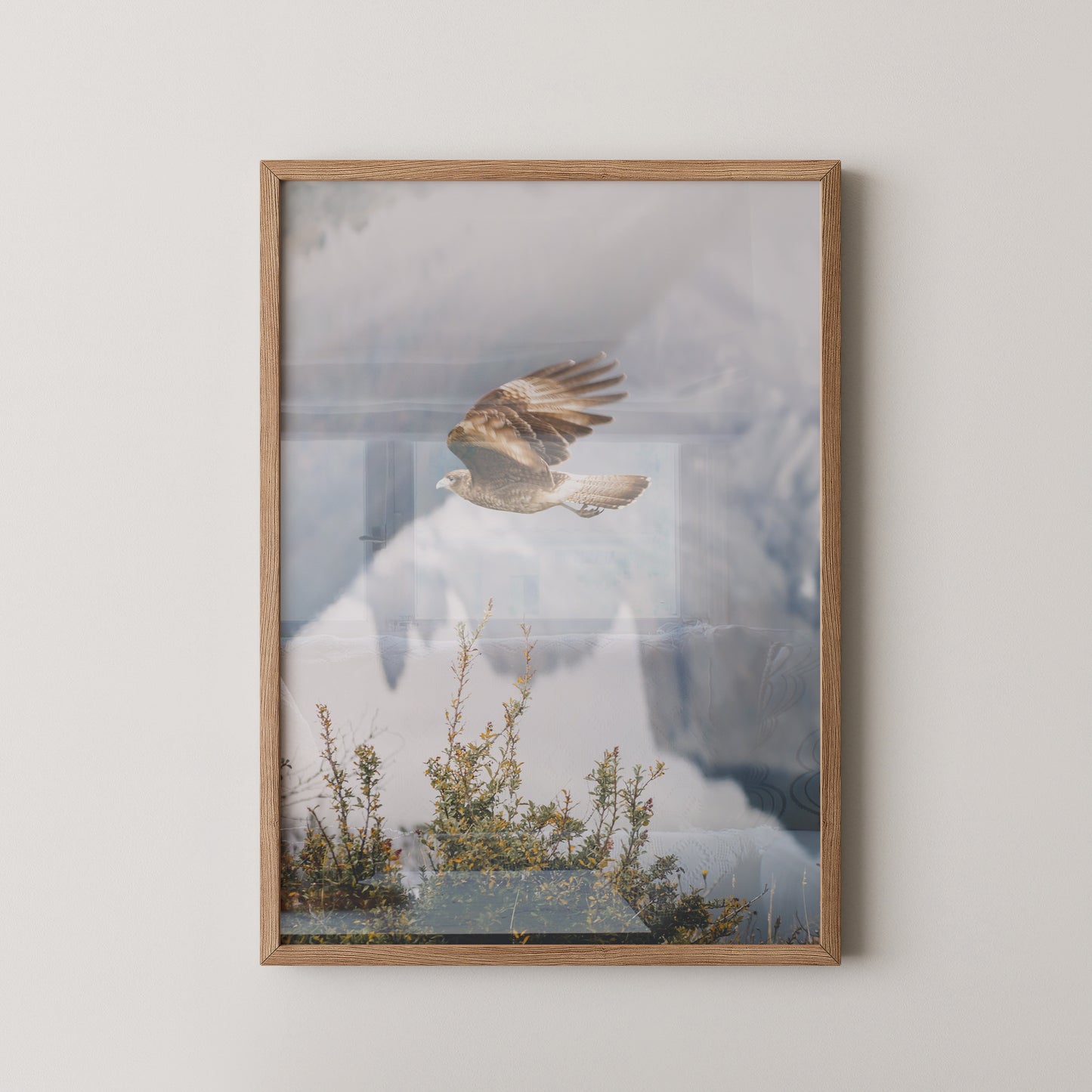 Greifvogel Flug Berge Nebel