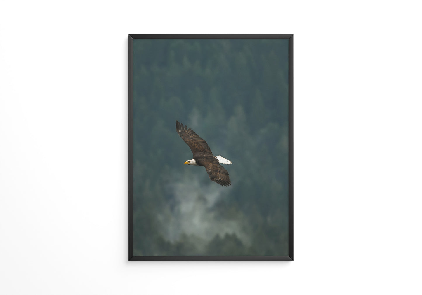 Adlerflug über grüner Wildnis