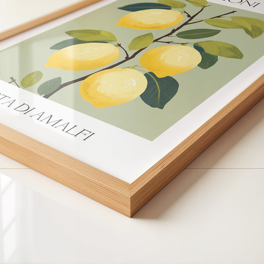 Zitronenbaum Amalfi Illustration