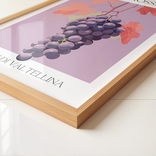 Trauben Illustration Rosa