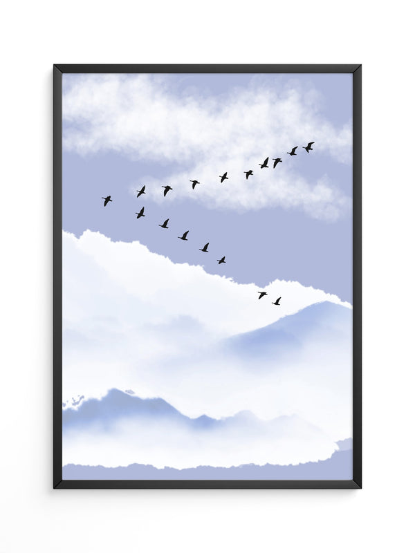 Vögel Formation Himmel Silhouette