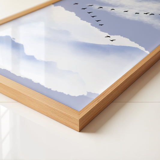 Vögel Formation Himmel Silhouette