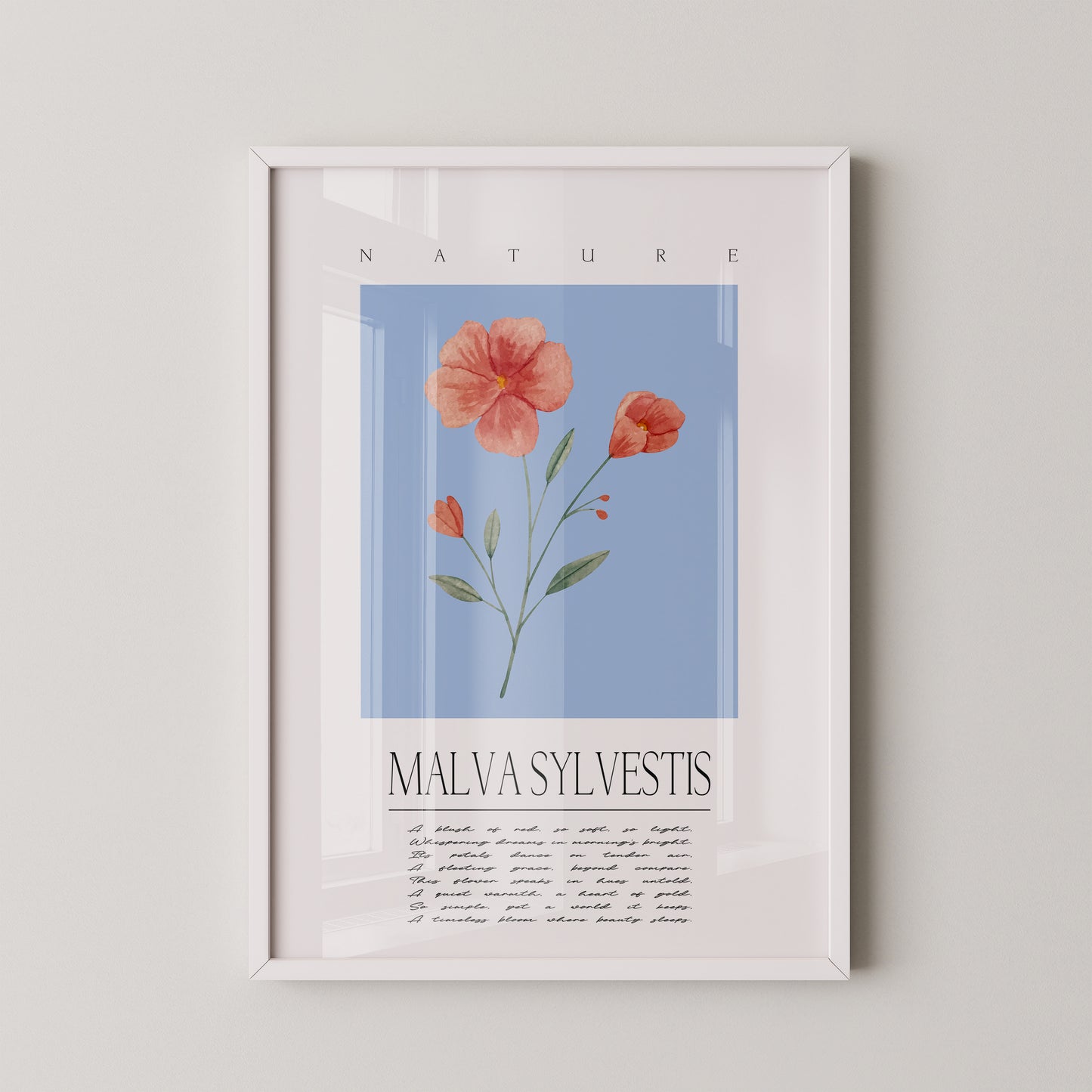 Malve Aquarell blau Hintergrund