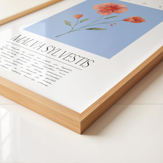 Malve Aquarell blau Hintergrund