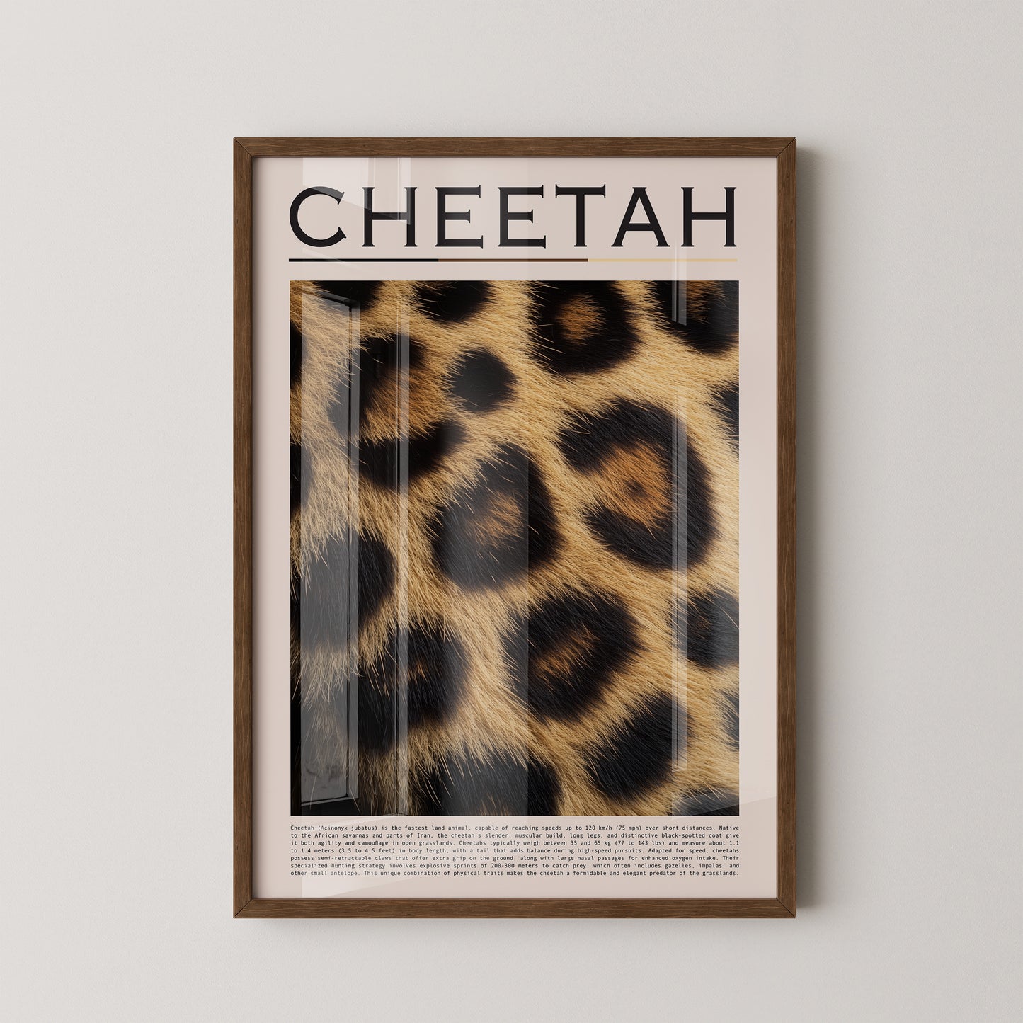 Gepardenfell Nahaufnahme Textur