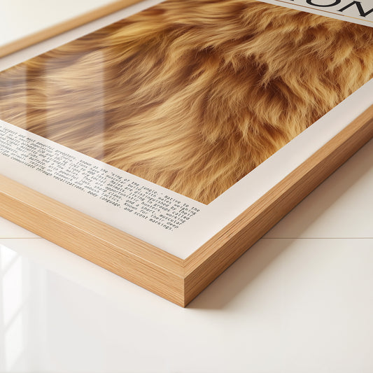 Löwenfell Textur Nahaufnahme