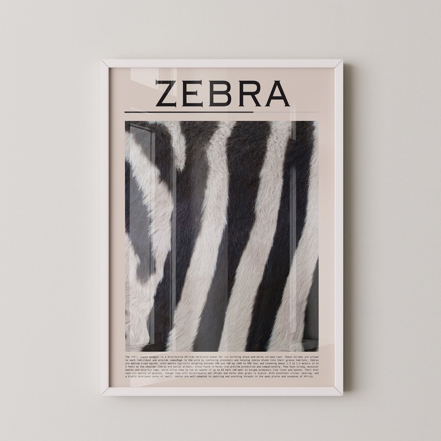 Zebrastreifen Felltextur
