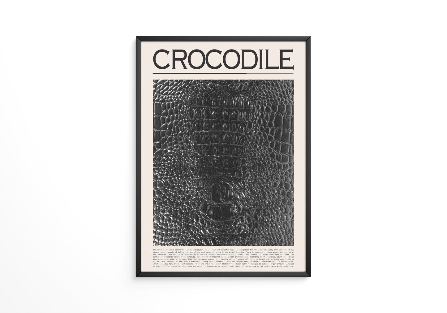 Krokodil Hautstruktur schwarz