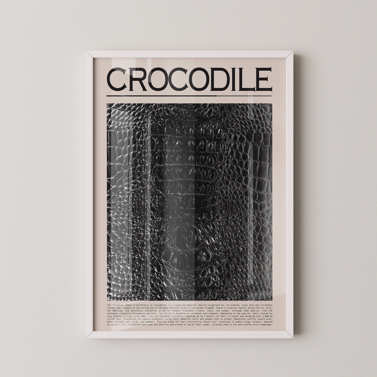 Krokodil Hautstruktur schwarz