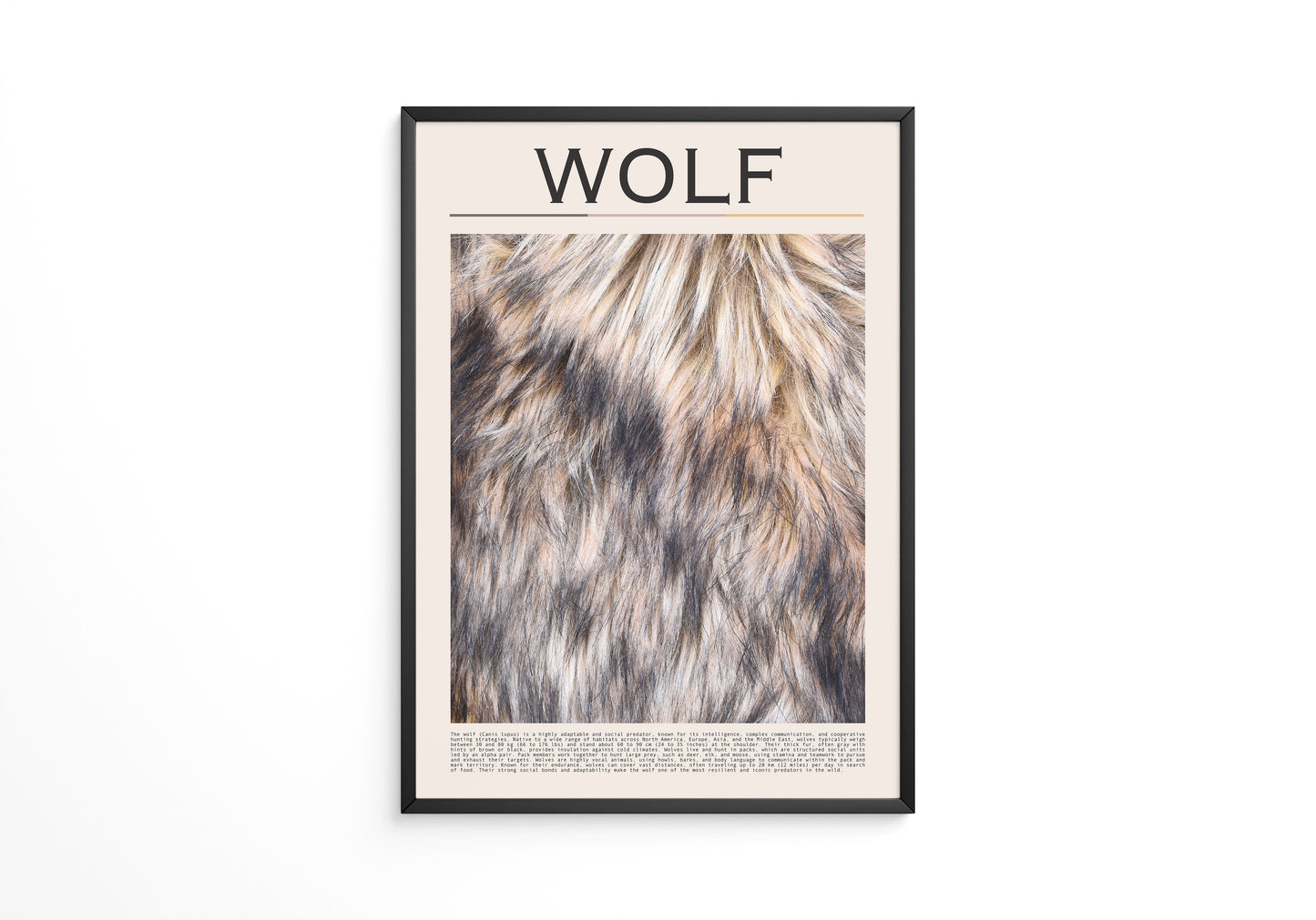 Wolf Fell monochrom
