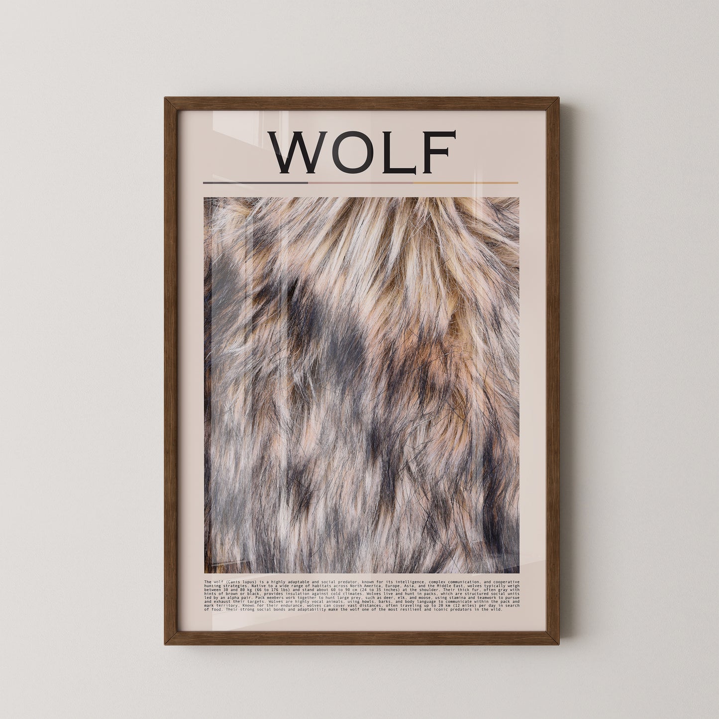 Wolf Fell monochrom