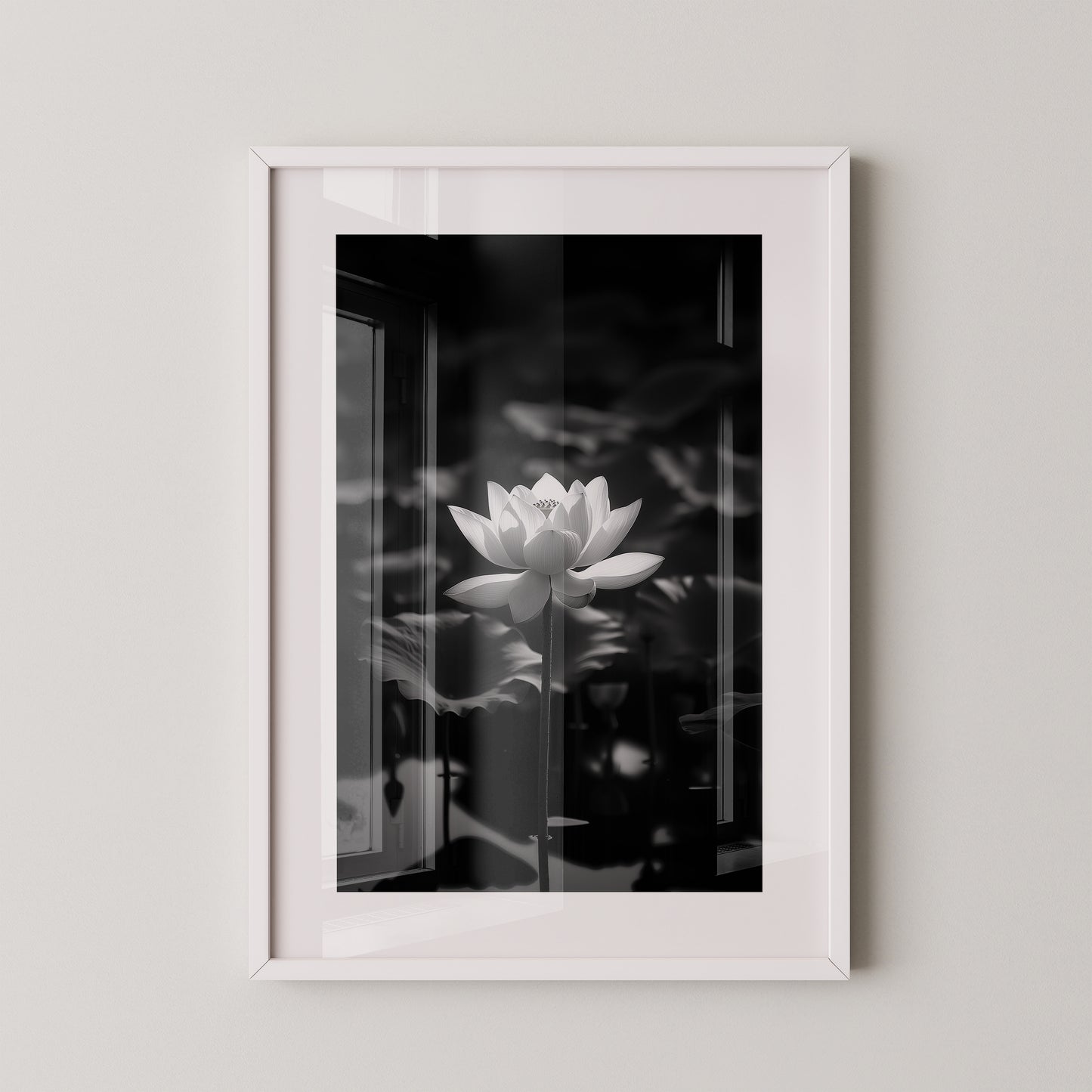 Lotusblüte Schwarzweiß Fotografie