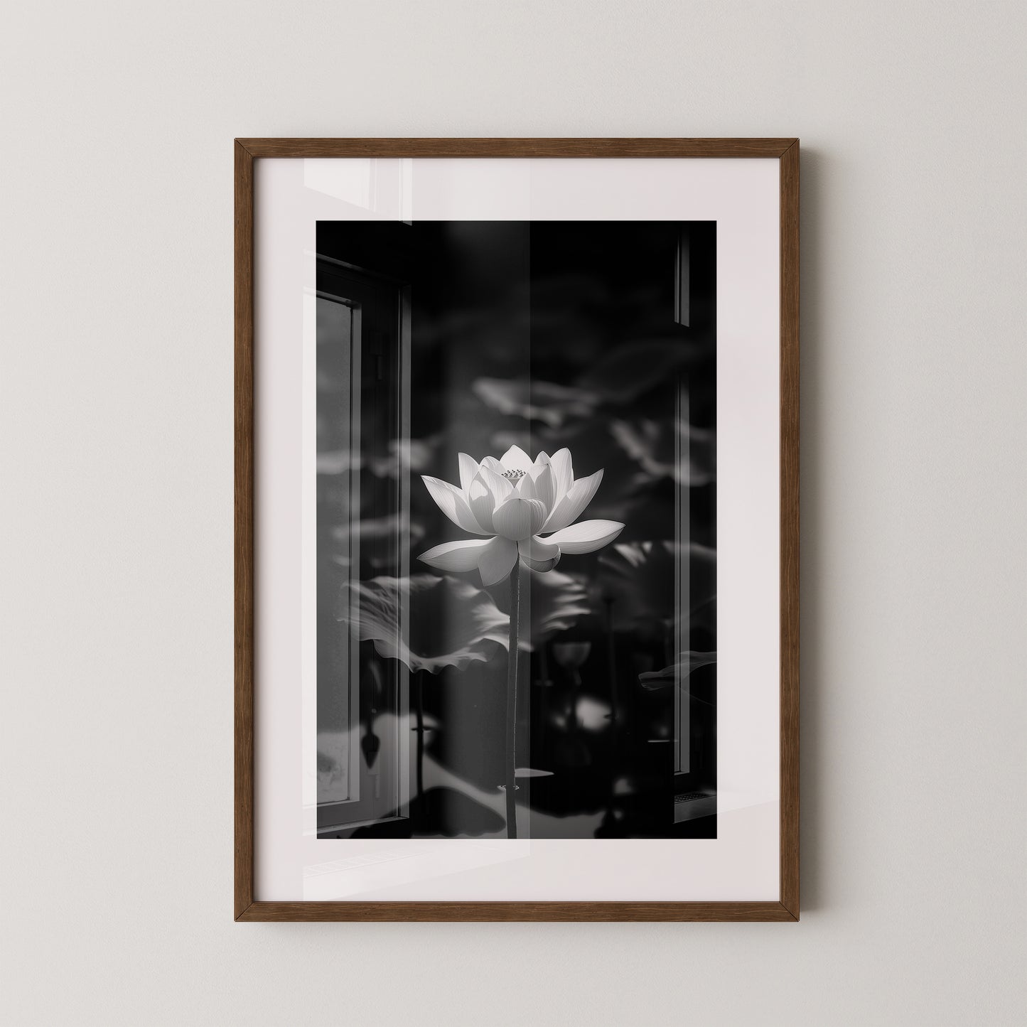 Lotusblüte Schwarzweiß Fotografie