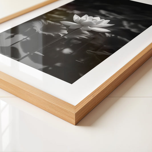 Lotusblüte Schwarzweiß Fotografie