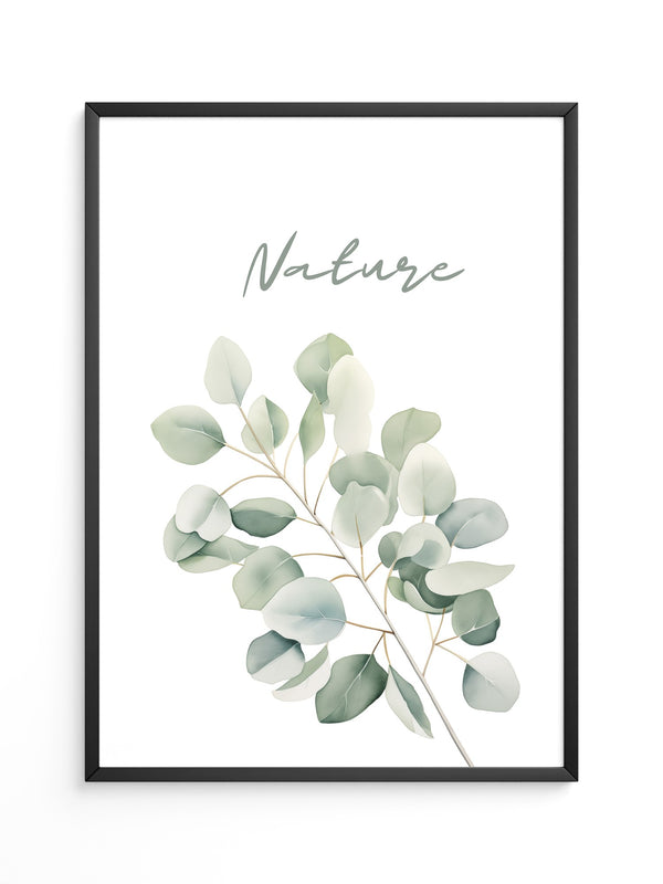 Eukalyptus Aquarell grün