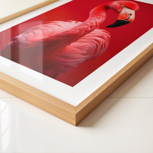 Flamingo Rot Portrait