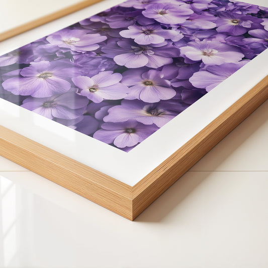 Lila Blütenpracht dicht