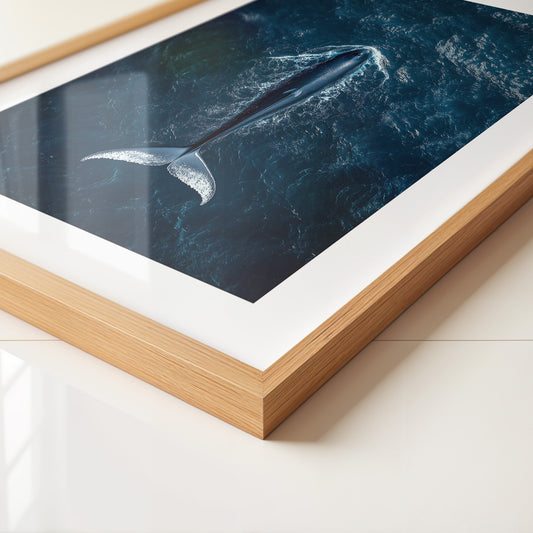 Wal Tiefblau Draufsicht