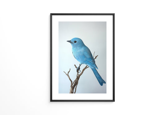 Blauer Vogel auf Zweig