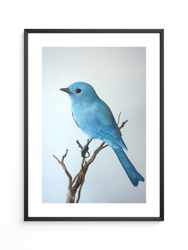 Blauer Vogel auf Zweig