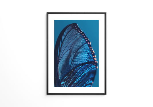Schmetterlingsflügel Blau Makro