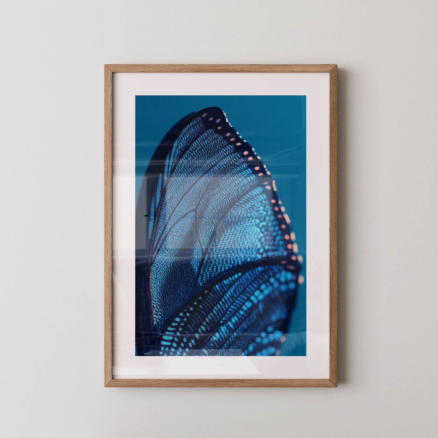 Schmetterlingsflügel Blau Makro