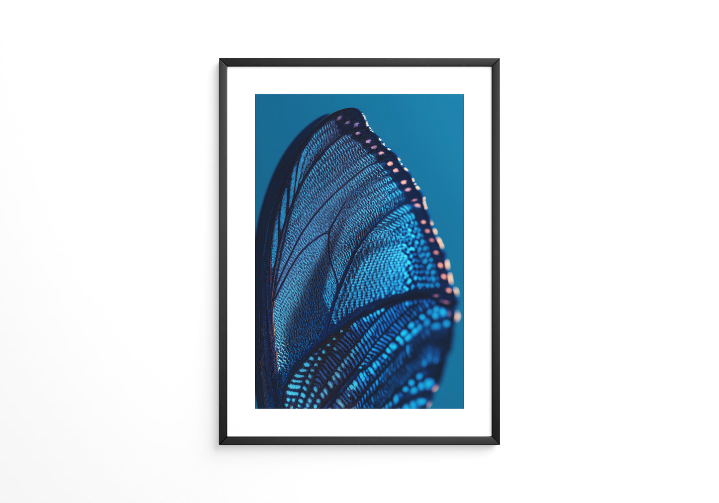Schmetterlingsflügel Blau Makro