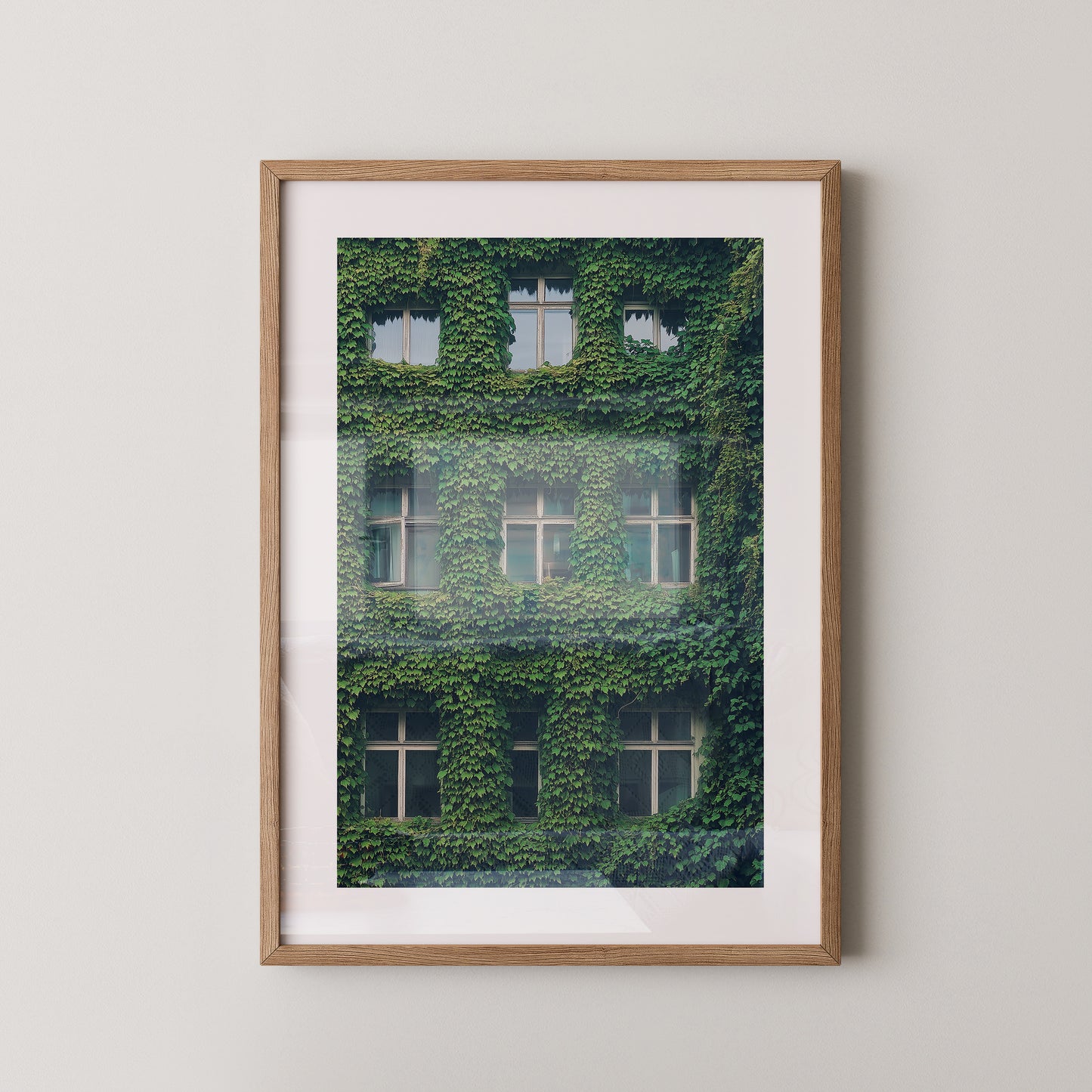 Fenster Fassade grün bewachsen