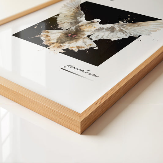 Taube Aquarell Flügelspiegelung