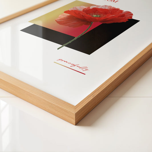 Roter Mohn Blüte Grafik