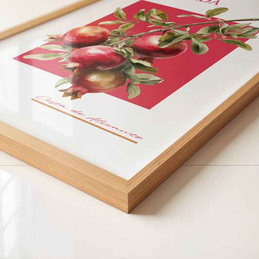 Granatapfel Zweig Rot Hintergrund