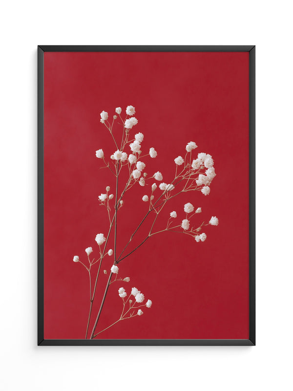Weiße Blüten rot Hintergrund