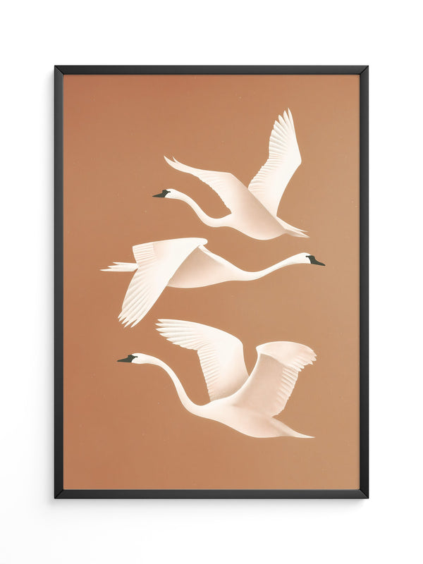 Schwan Flügelschlag Silhouette Braun